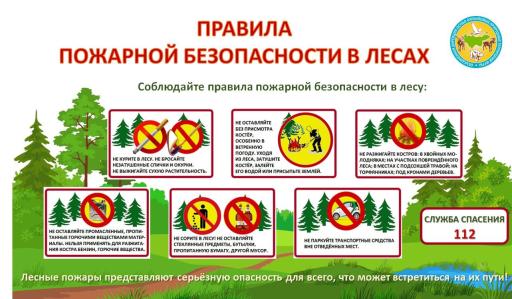 Правила пожарной безопасности в лесах