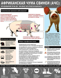 Памятка АЧС